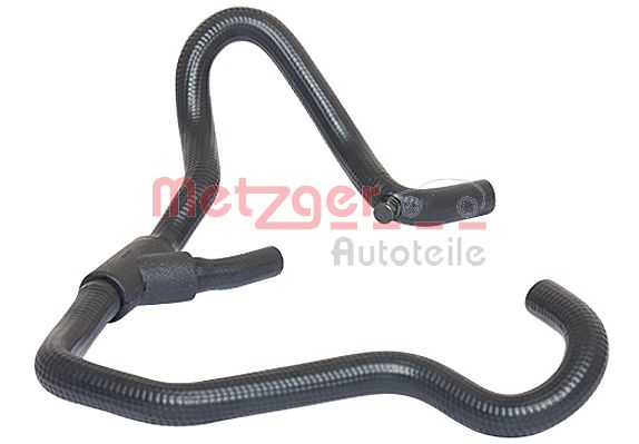 Radiator Hose (2420026)