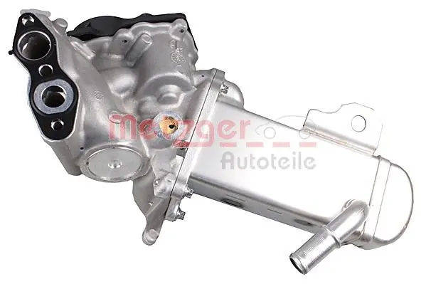 EGR Module
