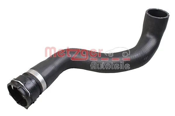 Radiator Hose (2421328)