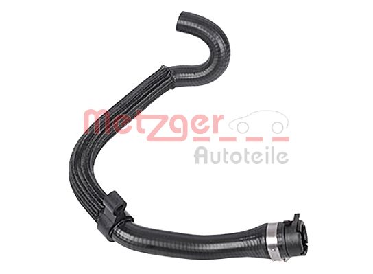 Radiator Hose (2420293)