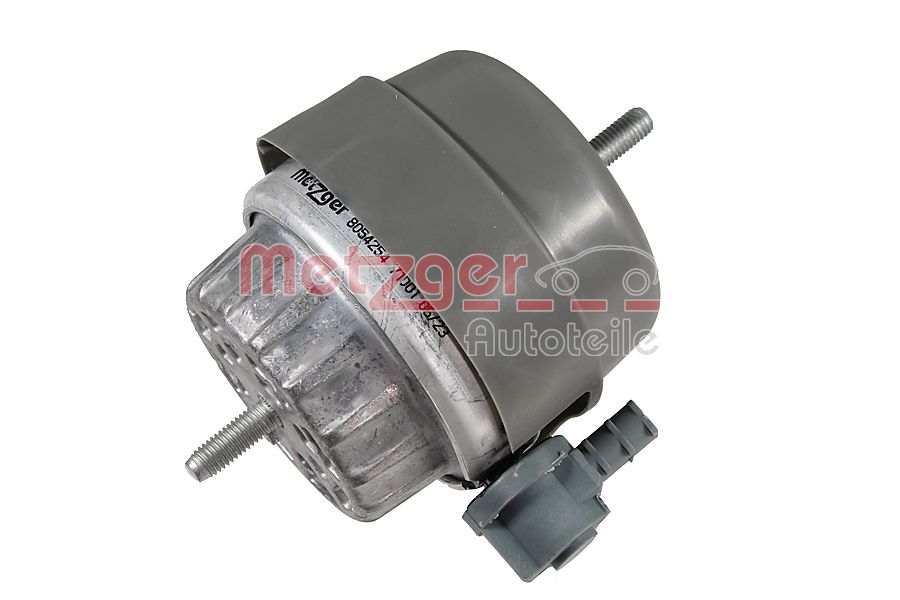 Mounting, engine (8054254)