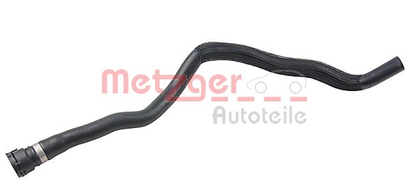 Radiator Hose (2420538)