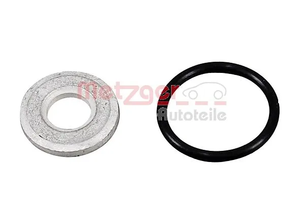 Seal Kit, injector nozzle (0873024)