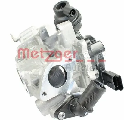 EGR Module