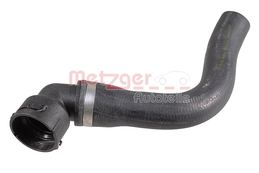 Radiator Hose (2421606)