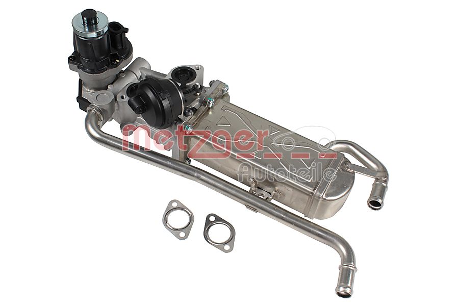 EGR Module