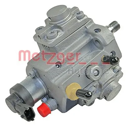 High Pressure Pump (0830049)