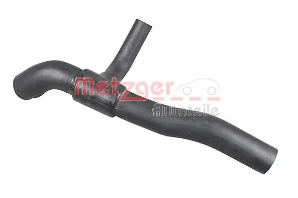 Radiator Hose (2420993)
