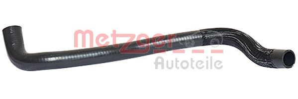 Radiator Hose (2420032)