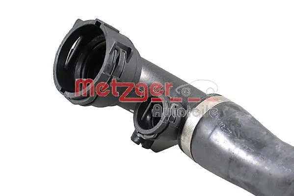 Radiator Hose