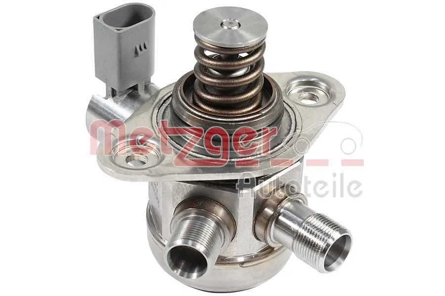 High Pressure Pump (2250439)