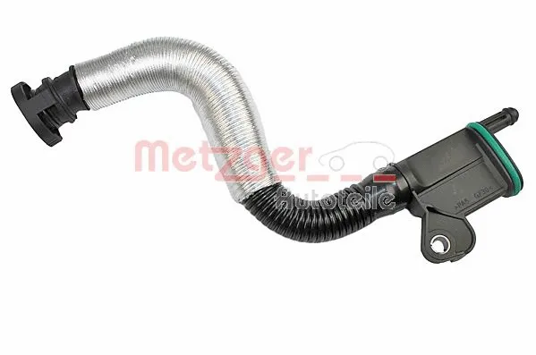 Hose, crankcase ventilation