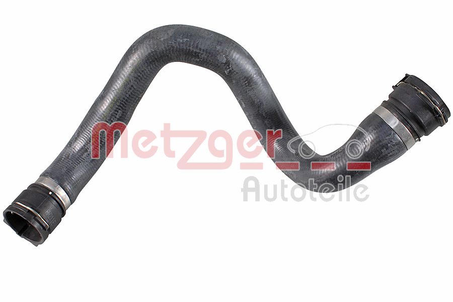 Radiator Hose (2421619)