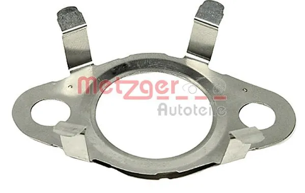 Gasket, EGR valve (0899165)