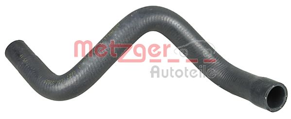 Radiator Hose (2420842)