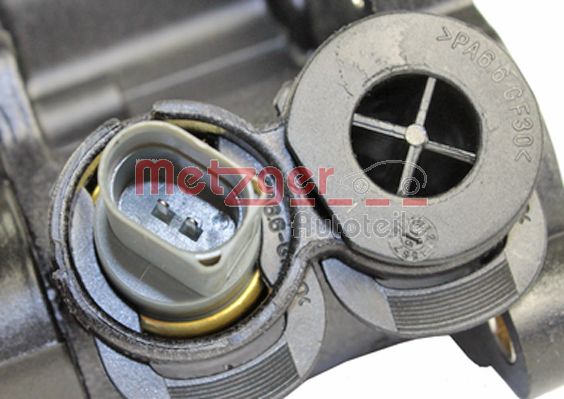 Thermostat, coolant