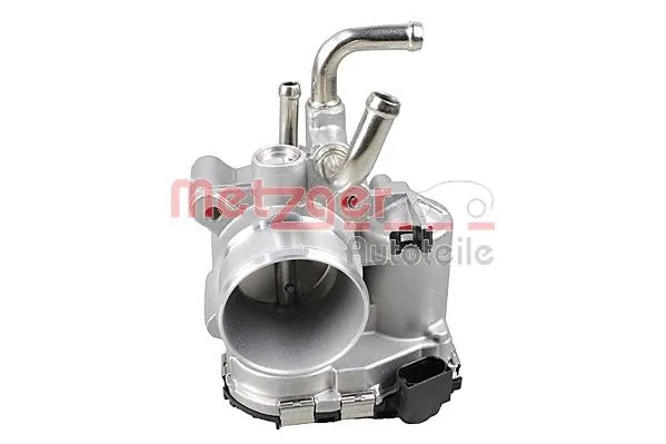 Throttle Body (0892920)