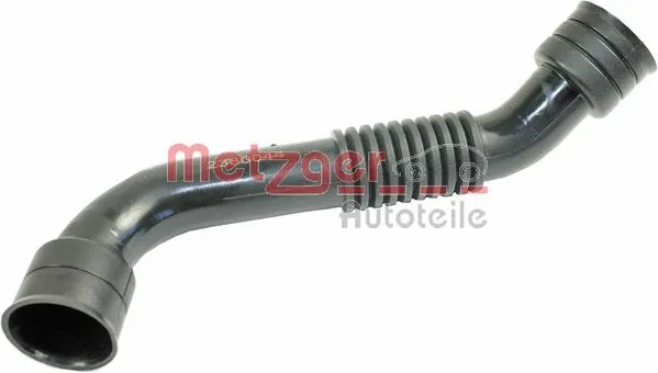 Hose, crankcase ventilation
