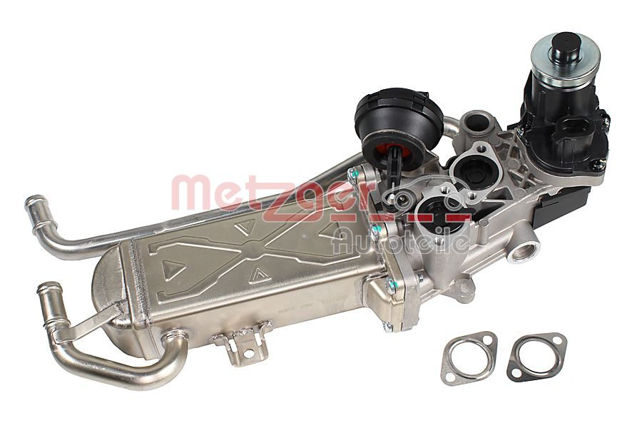 EGR Module