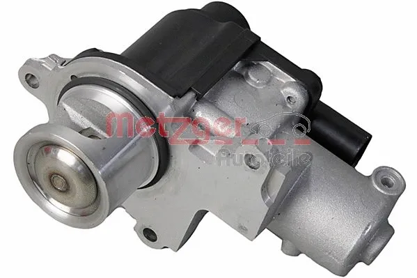 EGR Valve (0892925)