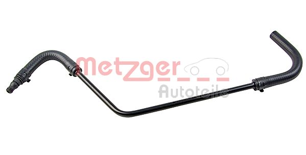 Radiator Hose (2420682)