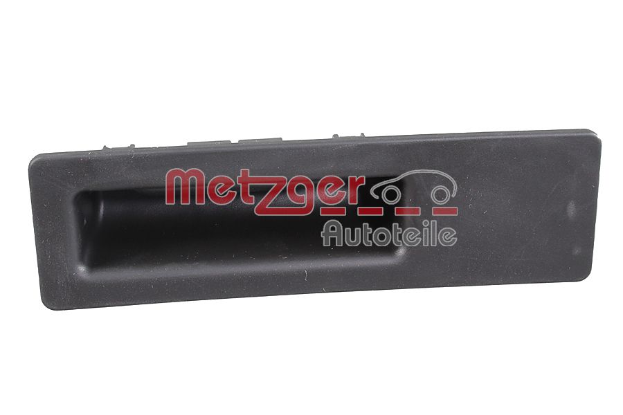 Tailgate Handle (2310854)