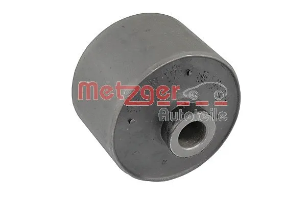 Bushing, axle beam (52091509)