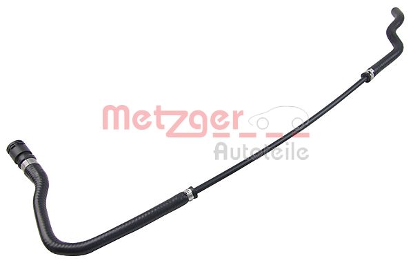 Radiator Hose (2420563)