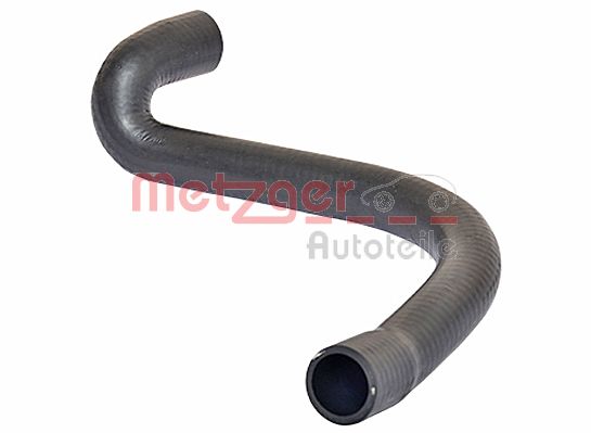 Radiator Hose (2420428)