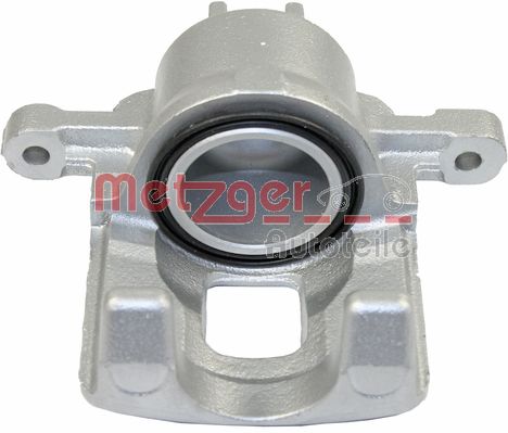 Brake Caliper (6250731)