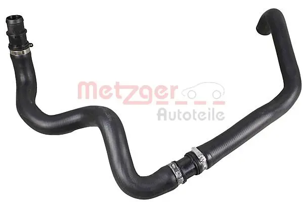 Radiator Hose (2421191)