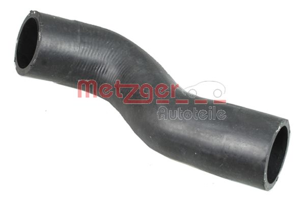 Radiator Hose (2420848)