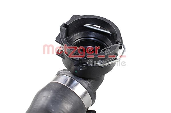 Radiator Hose