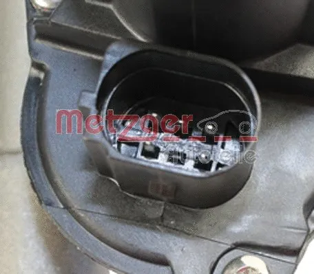 EGR Module (0892459)
