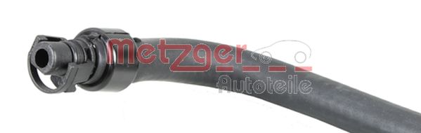Radiator Hose (2420135)