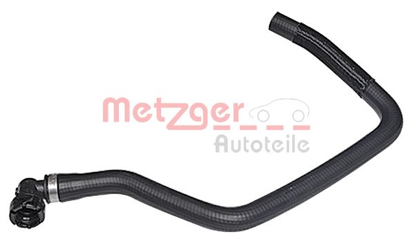 Radiator Hose (2420390)