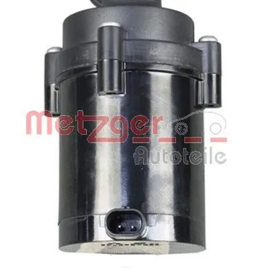 Auxiliary Water Pump (cooling water circuit) (2221059)