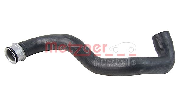 Radiator Hose (2420665)