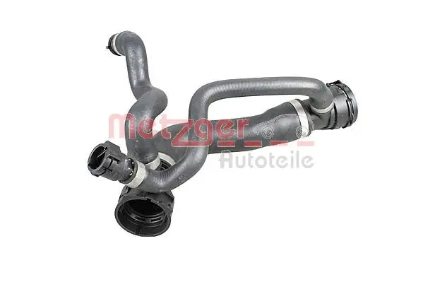 Radiator Hose