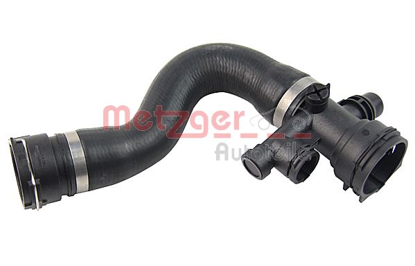 Radiator Hose (2420528)