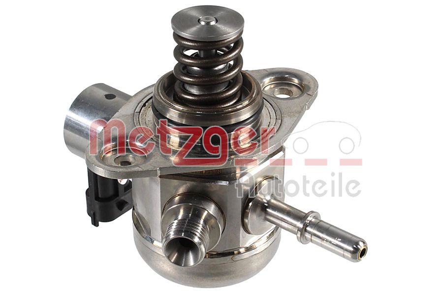 High Pressure Pump (2250564)