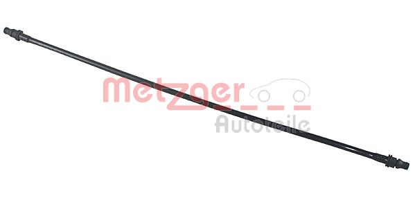 Radiator Hose (2420664)