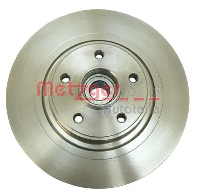 Brake Disc (6110058)