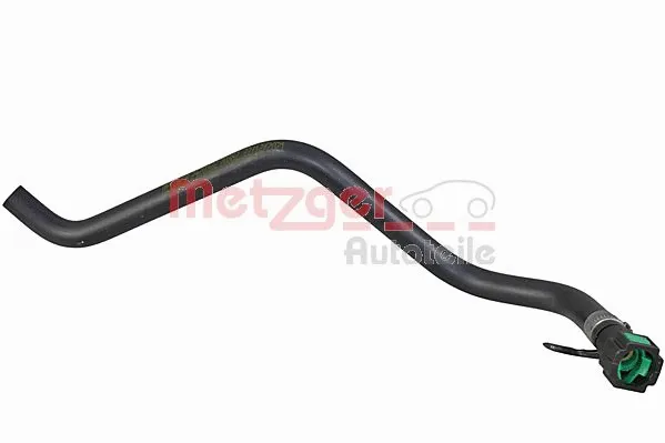 Radiator Hose (2420322)