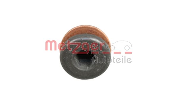 Screw Plug, oil sump (8030056)