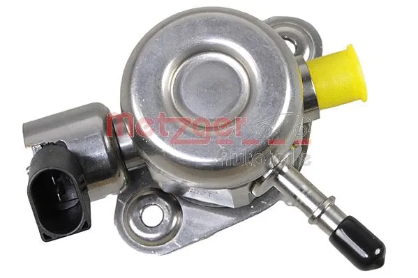 High Pressure Pump (2250494)