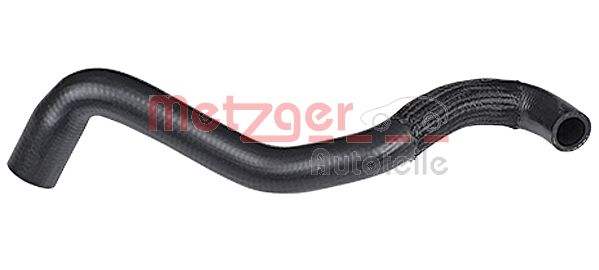 Radiator Hose (2420248)