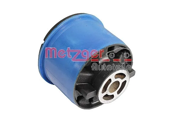 Bushing, axle beam (52091309)