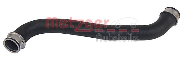 Radiator Hose (2420663)