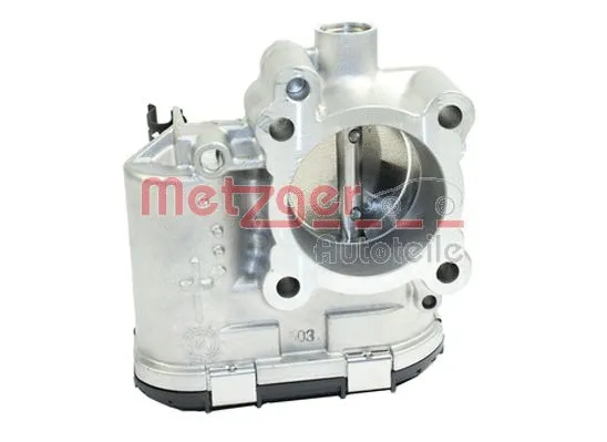 Throttle Body (0892544)